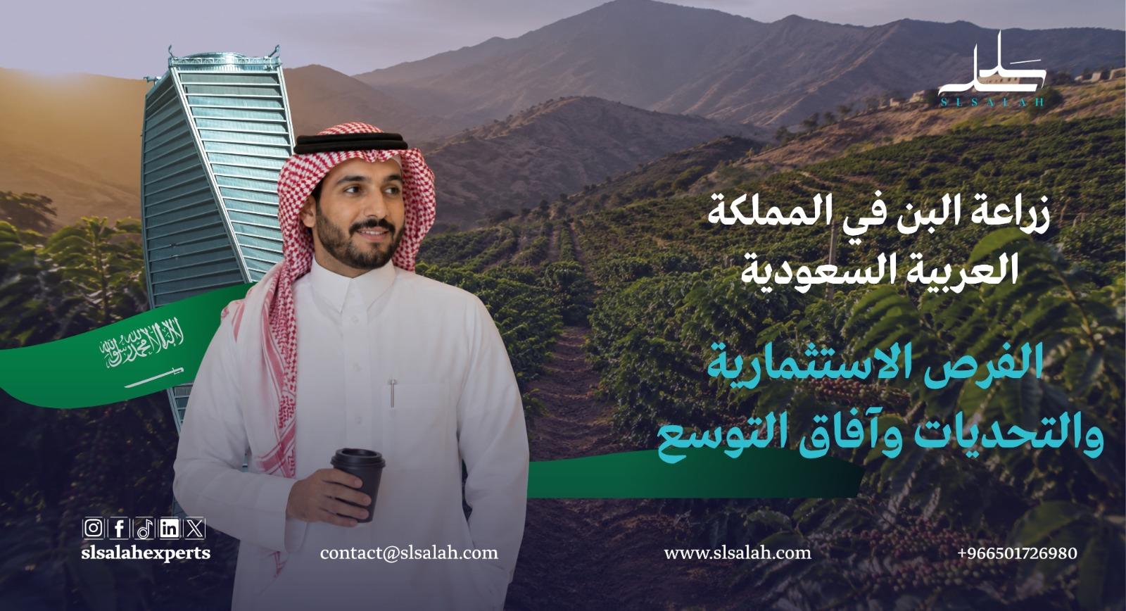 زراعة البن في المملكة العربية السعودية: الفرص الاستثمارية والتحديات وآفاق التوسع